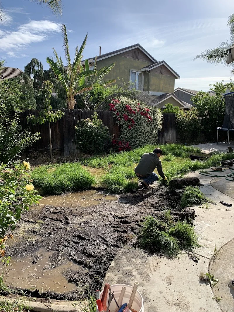 PGF landscaping
