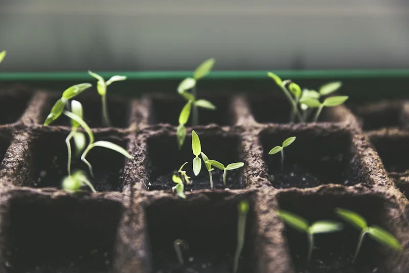 Newark Green Thumb Gardening Services