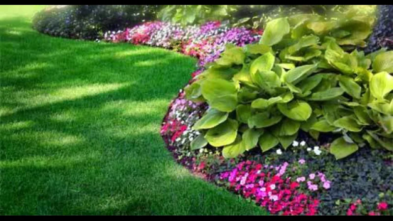 Atlanta Lawn Care Services, Inc