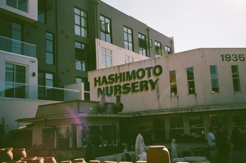 Hashimoto Nursery