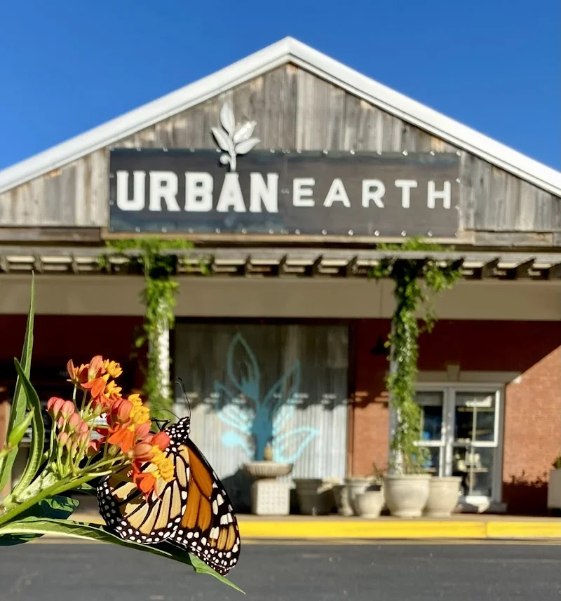 Urban Earth