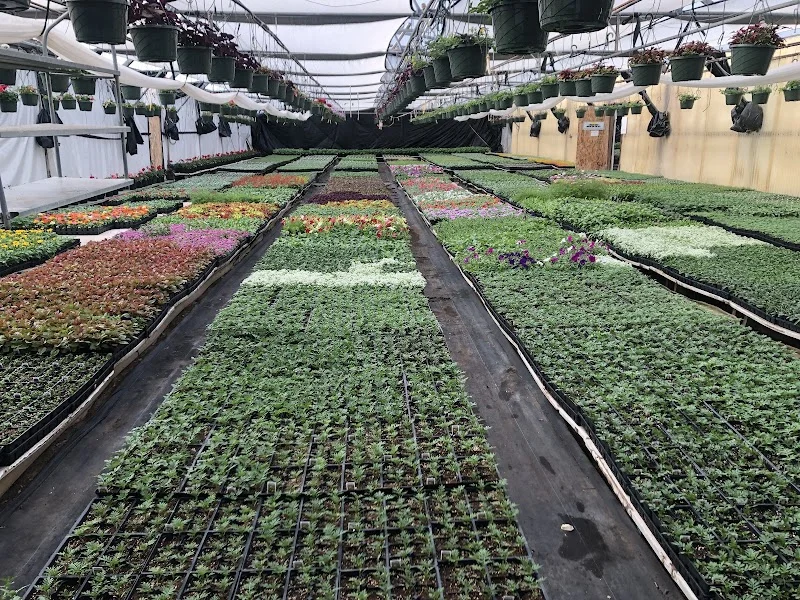 Agra Greenhouse’s