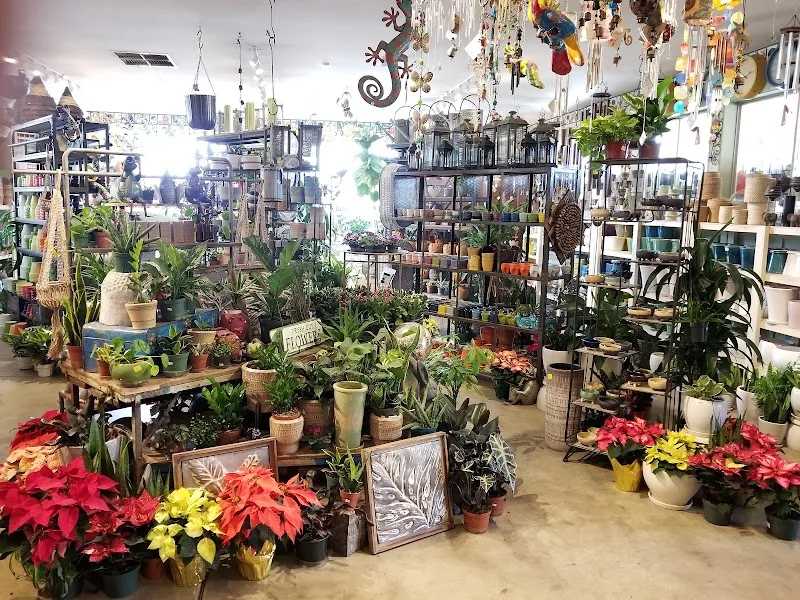 Evergreen Garden Center Inc.