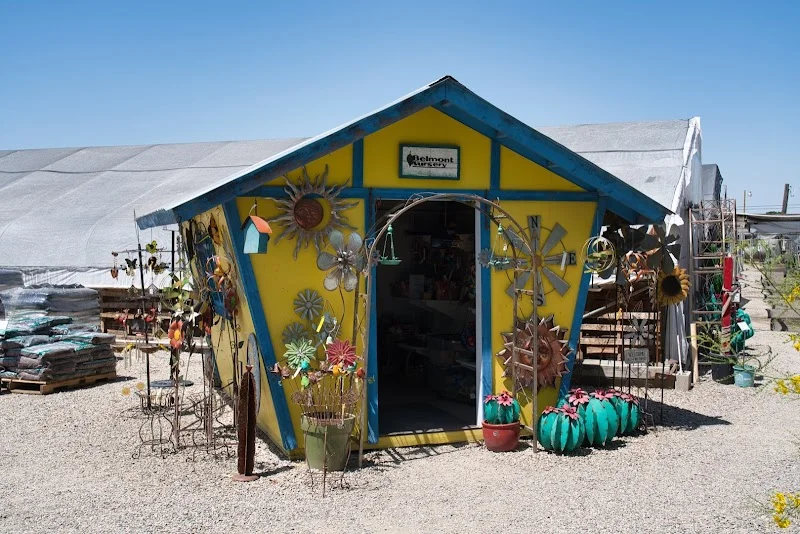 Belmont Nursery