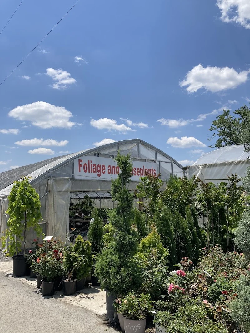 Wilson's Nursery & Garden Center
